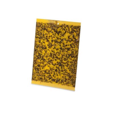 מלכודת זבובים ומעופפים | הלוחית הצהובה XL